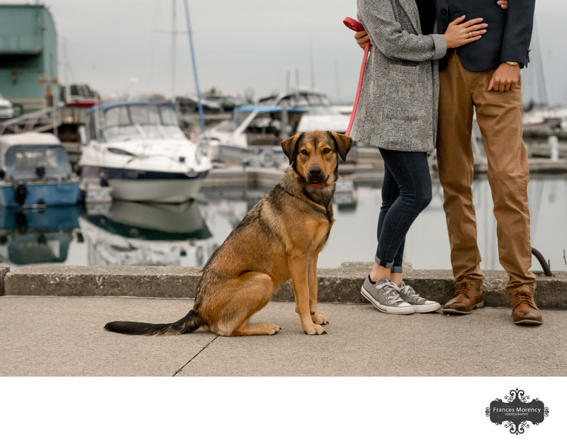 Mississauga Engagement Photographer with Pet