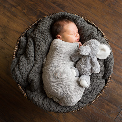 newborn boy with neutral color photos elephant