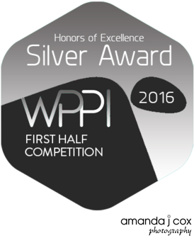WPPI Silver Award First Half 2016 Competition