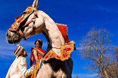 Rich Indian Wedding With Horse and Vibrant Colors