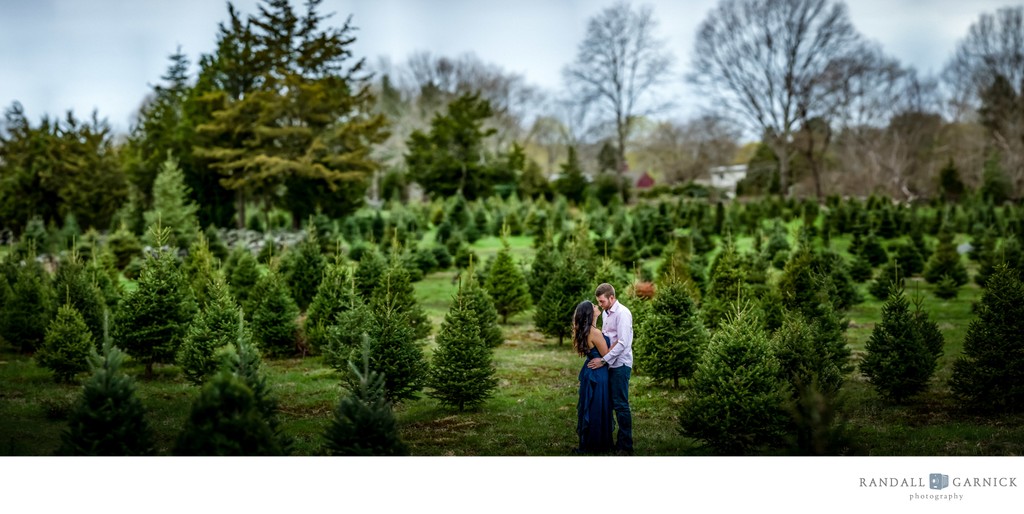 Christmas tree farm engagement photos