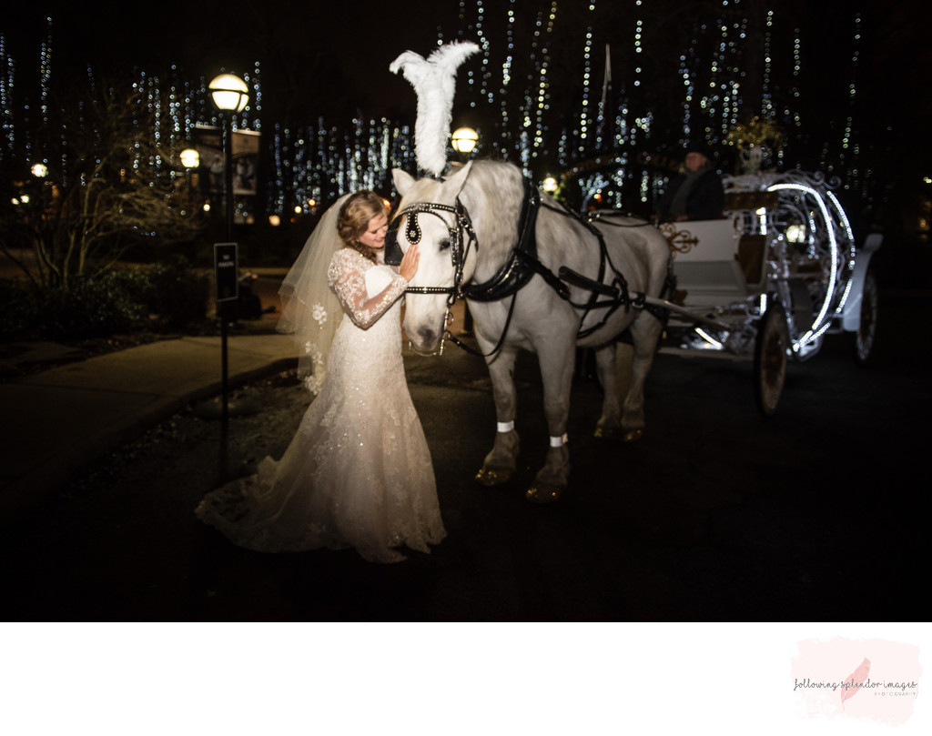 Bride with Horse and Carriage Harding University Wedding 