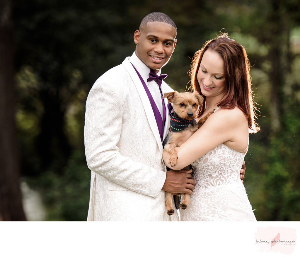 Bride and Groom with Fur Baby