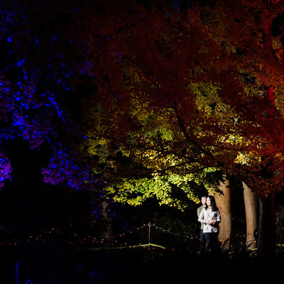 VanDusen Glow In the Garden Halloween twinkle lights  