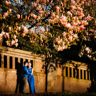 Best Vancouver engagement locations for cherry blossoms