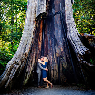 Romantic Stanley Park Hollow Tree Engagement Photography
