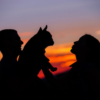 Bride, groom and puppy silhouette at pre wedding shoot