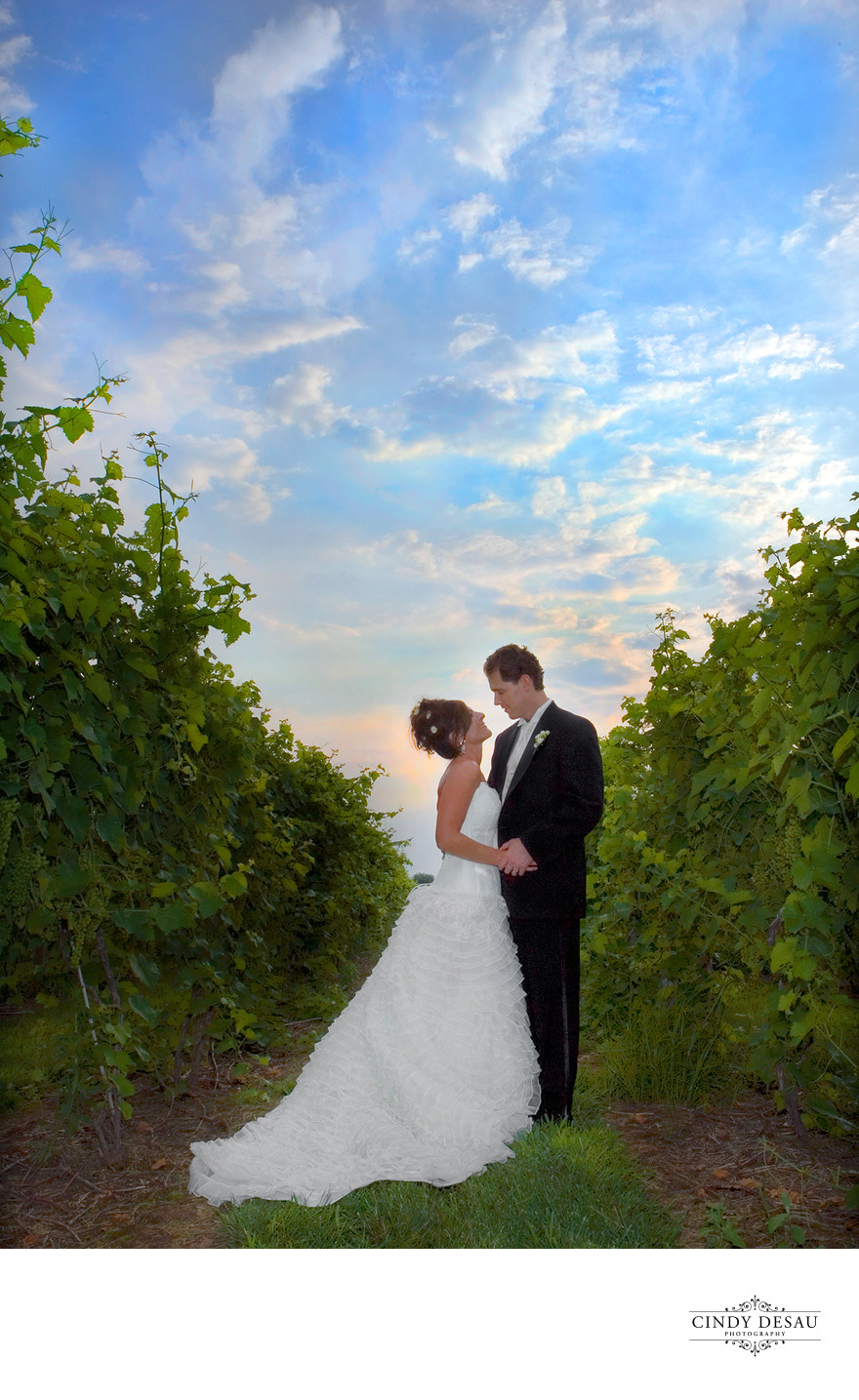 Crossing Vineyards Wedding Photographer