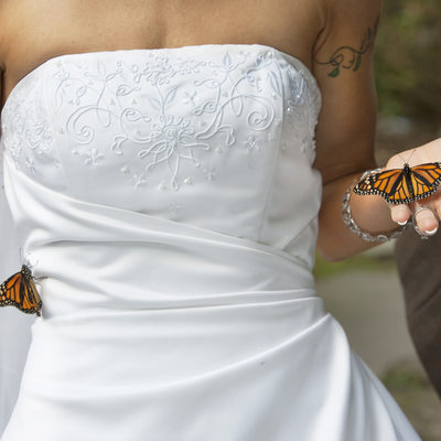 Butterfly Bride Wedding Photographer in New Hope

