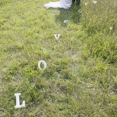 Whimsical Field of Love in New Hope Wedding Photographer