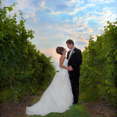 Crossing Vineyards Wedding Photographer