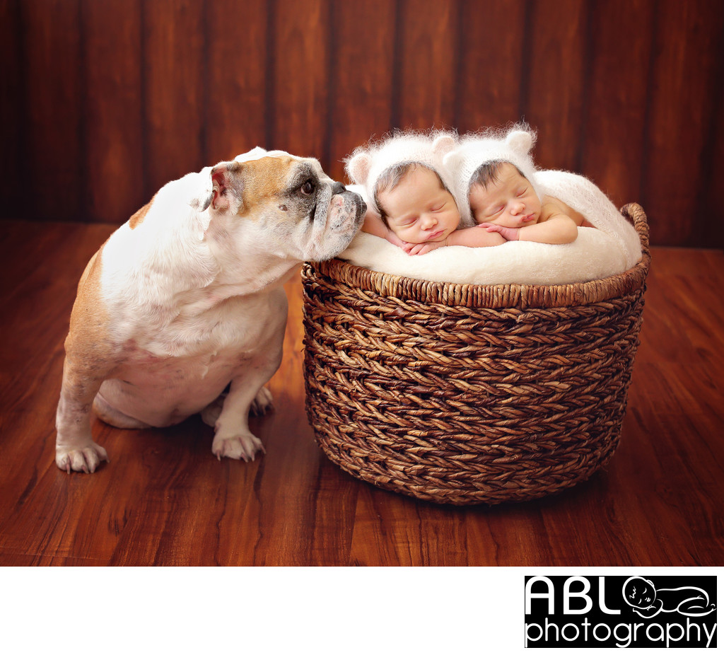 Dog and newborn baby photography in Chula Vista, CA