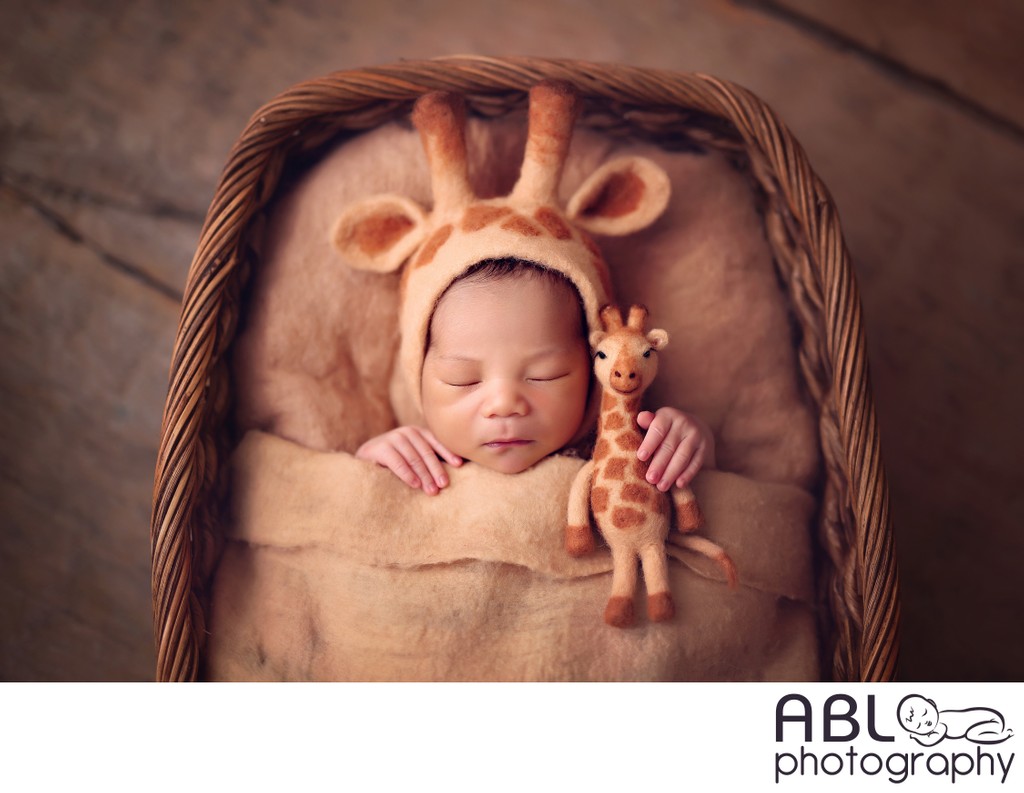 Newborn with giraffe in brown box