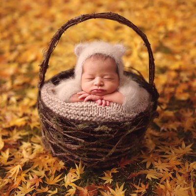 Baby basket fall colors San Diego outdoor newborn photo