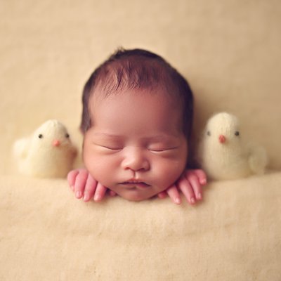 Newborn with chicks
