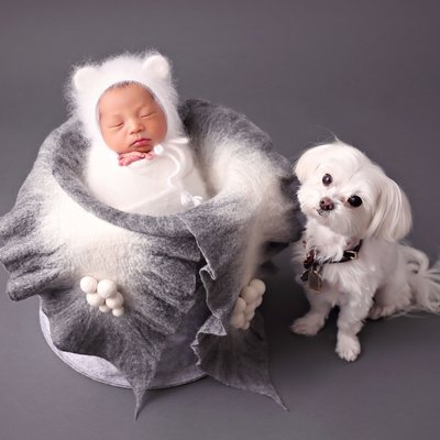Newborn in basket with small dog