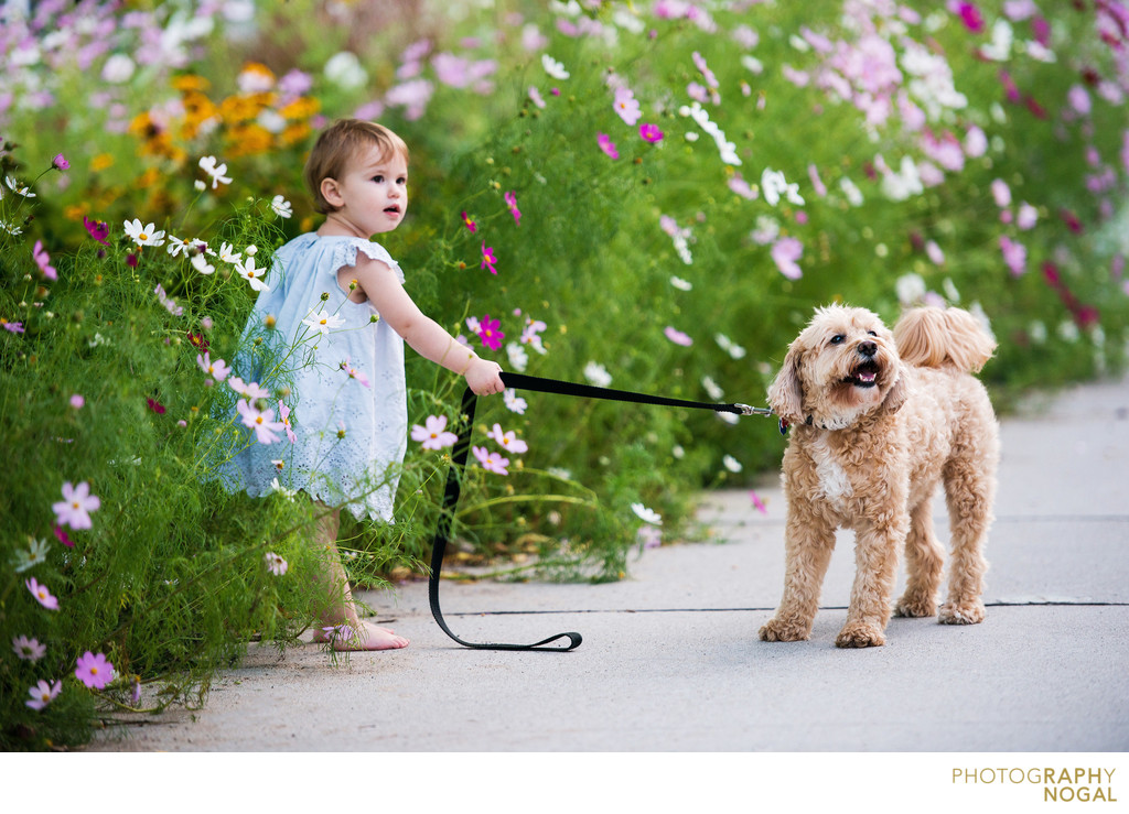 girl holding dog on leash in a flower garden