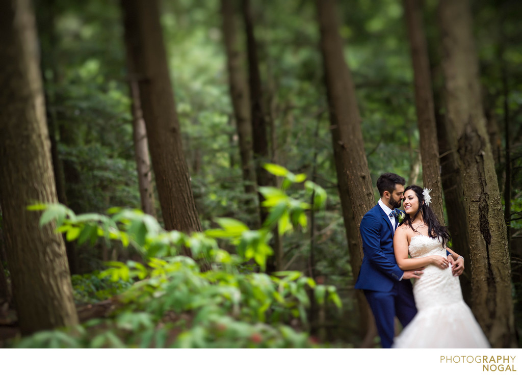 Wedding Couple at McMichael Canadian Art Collection