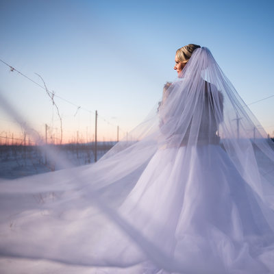 Bride In The Show With Long Veil