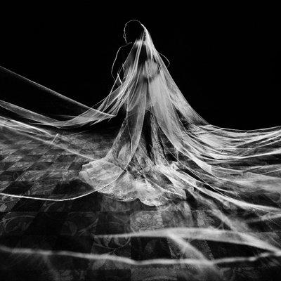 Bride's Long Veil