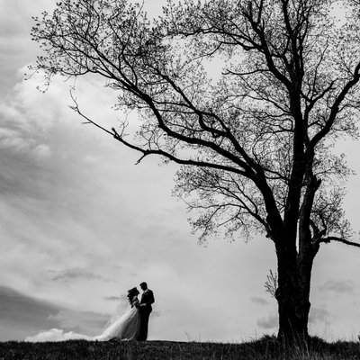Bride and Groom under copper creek tree, dramatic sky