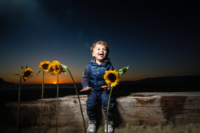 boy sunflowers sunset