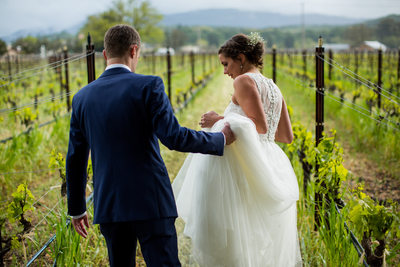 Landmark Vineyards Wedding Photos