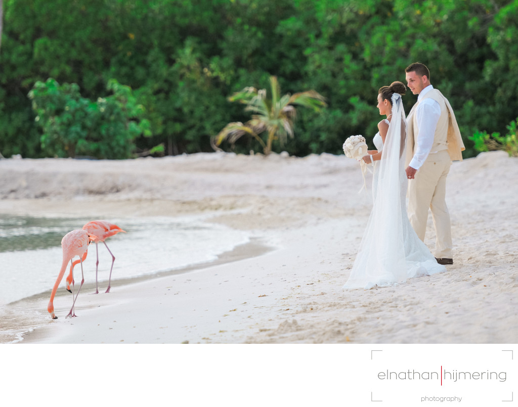bride groom flamingo beach