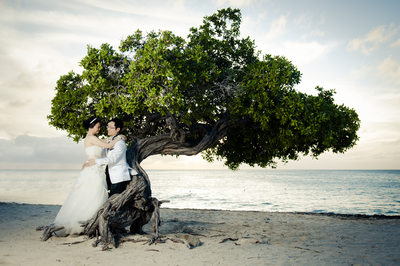 bride and groom divi tree beach