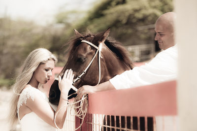 bride and groom horse
