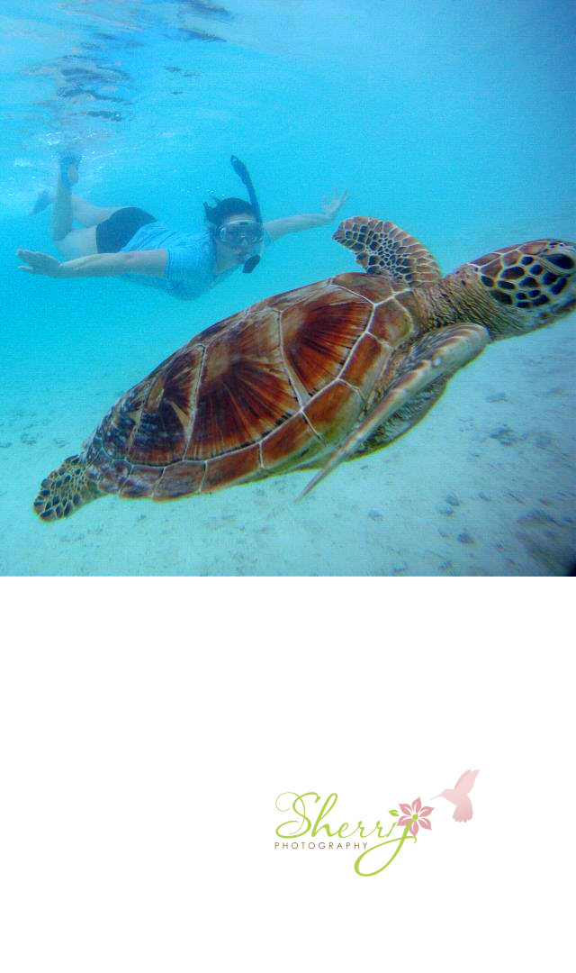 Sherri snorkeling in Bora Bora with a turtle