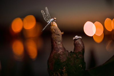 New Bern Lakeside Wedding Photographer Ring Shot