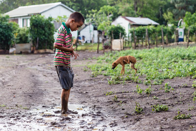 Boy Plays in Mud while Dog Scratches Himself