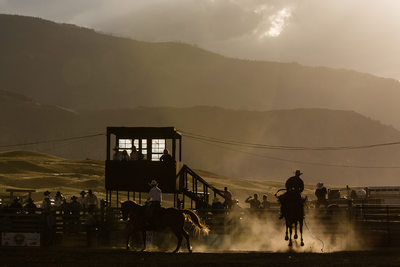 Saddle Bronc Rider in Sunset Light in a Montana Rodeo