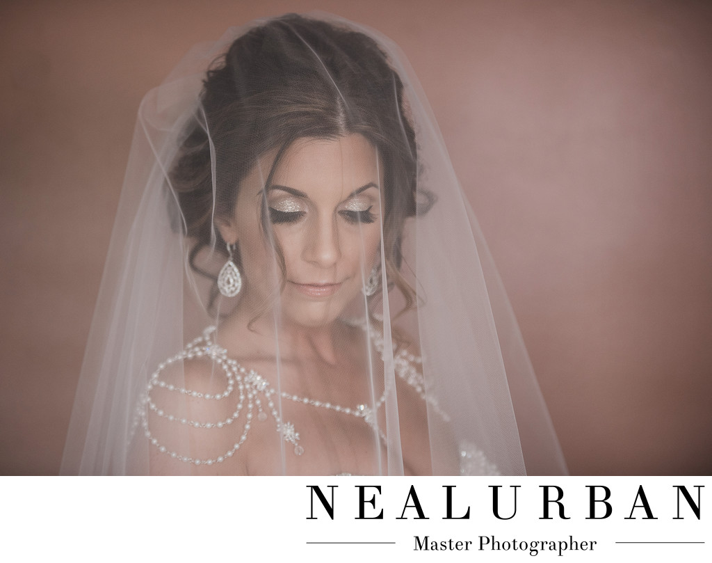Buffalo Wedding bride veil makeup artist photography