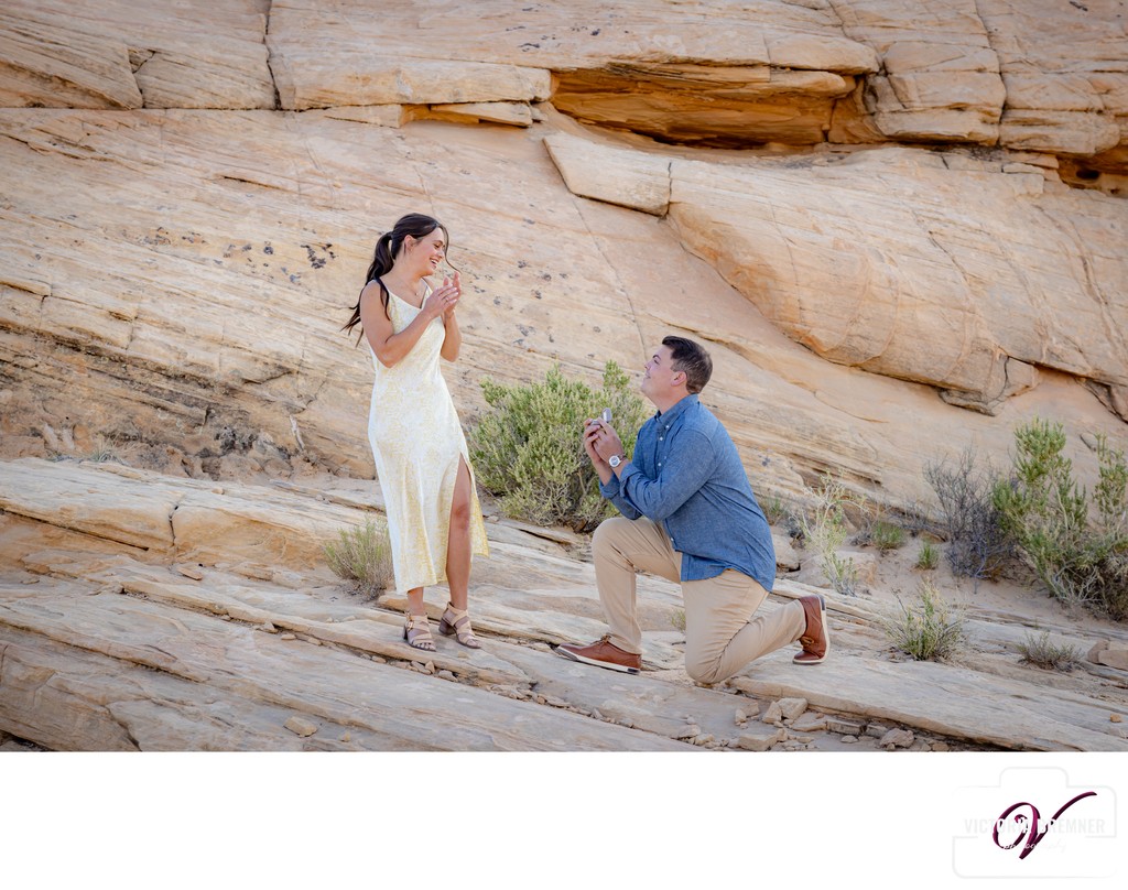 Surprise Proposal at Valley Of Fire