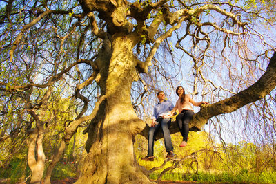 Engaged Couple in a Tree Westchester