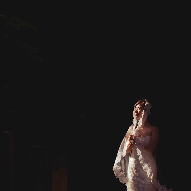 New Haven Wedding Photographer New Haven Wedding Photographer