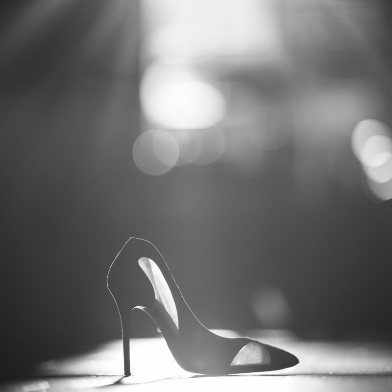 Ballroom at Ellis Preserve Wedding Photos Ballroom at Ellis Preserve Wedding Photos