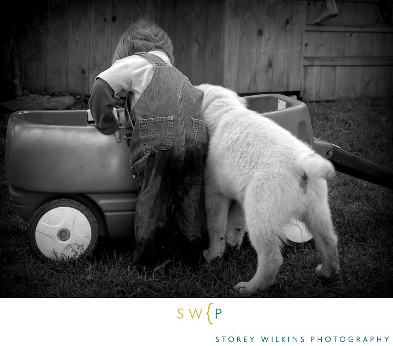 Adorable Photographs of Kids and Dogs by Storey Wilkins