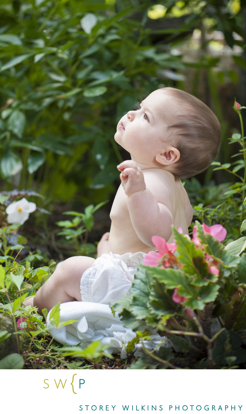Classic Baby Portrait in the Backyard Garden