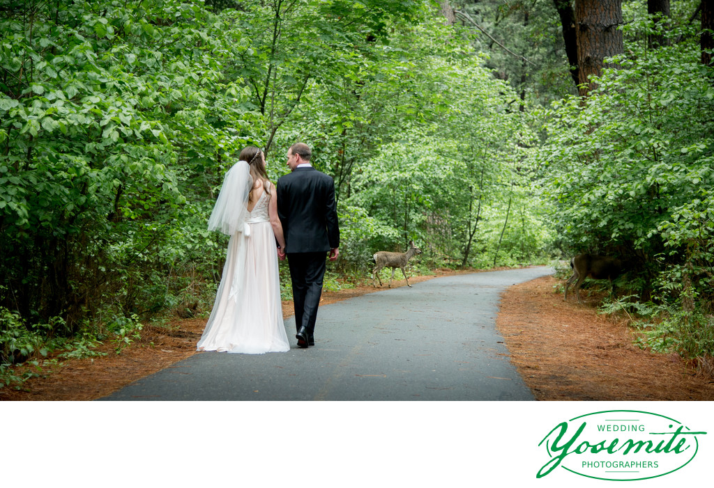 Bride And Groom Walk With Deer at Majestic Yosemite Hotel