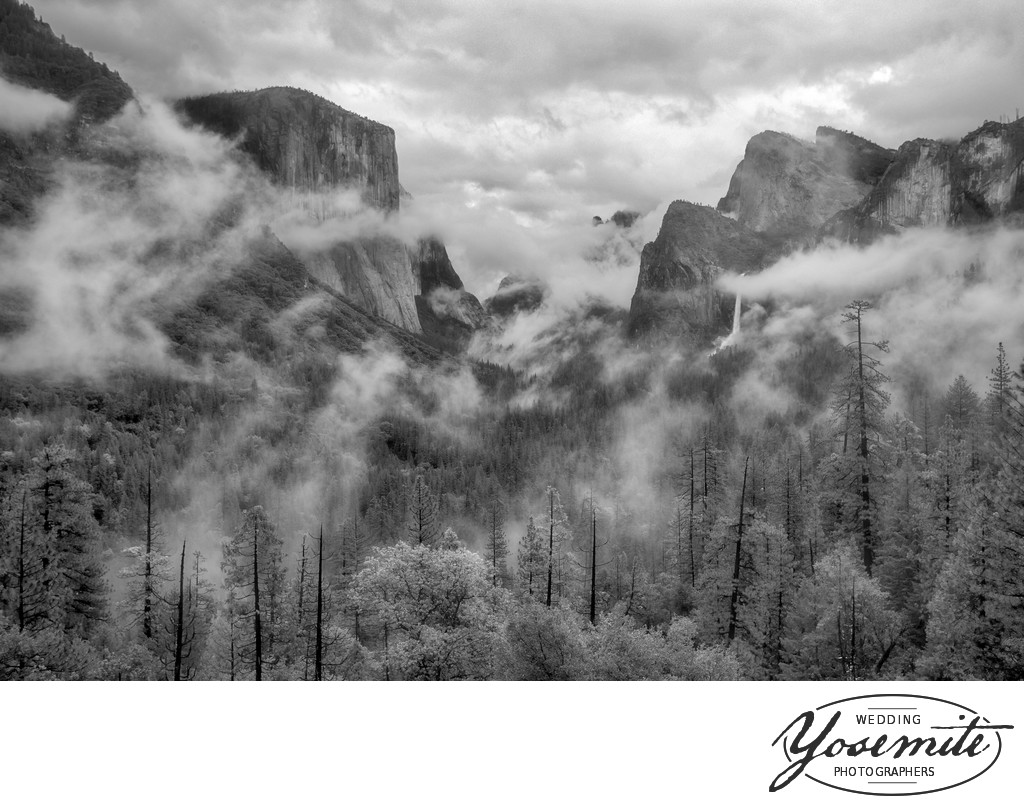 After a Storm Yosemite