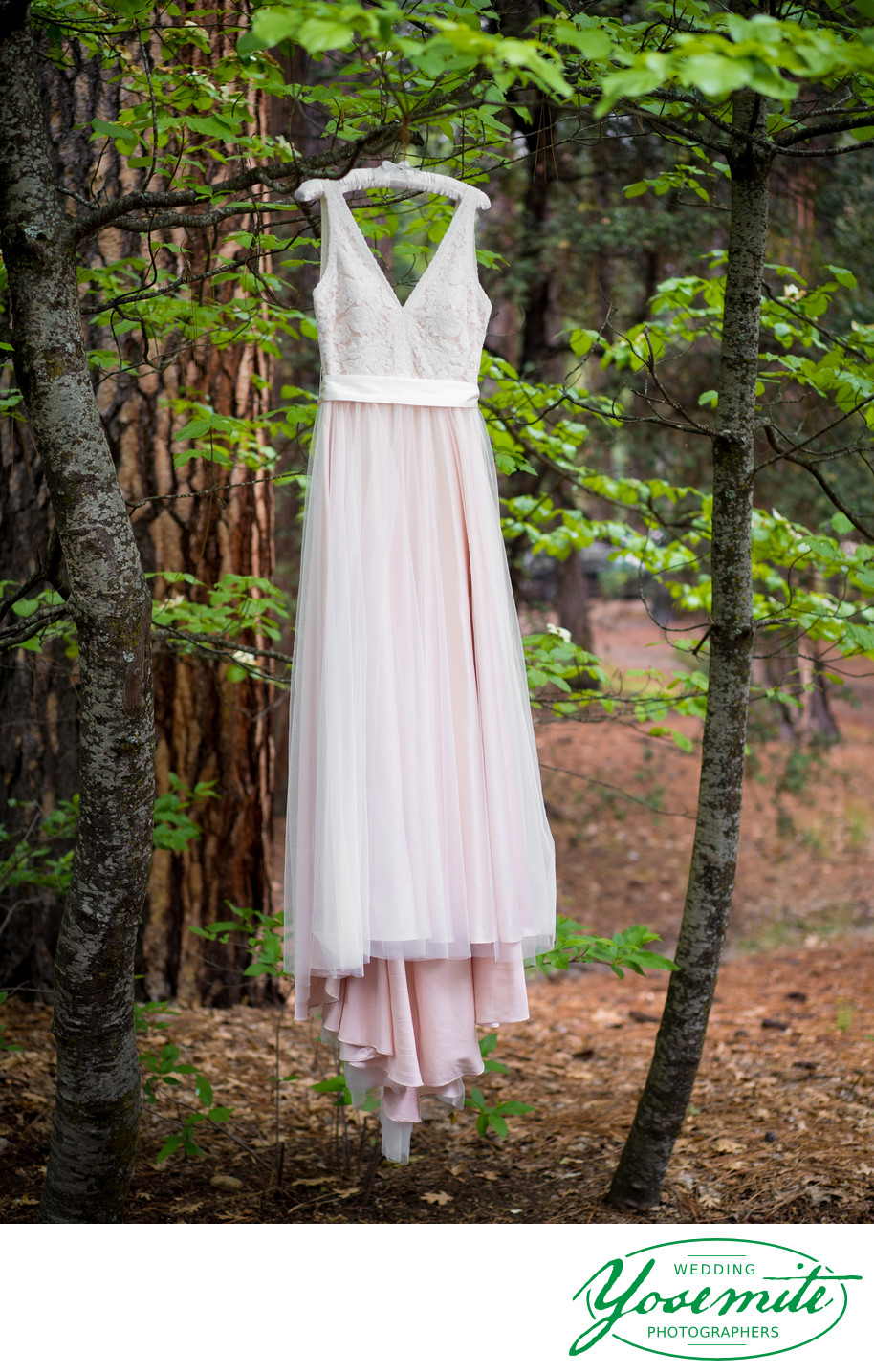 Bride's Pink Dress Hangs From Tree in Yosemite