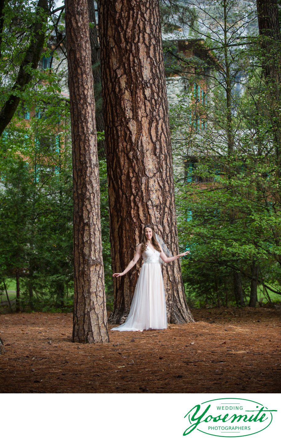 Bridal Portrait Under Big Trees at Ahwahnee Hotel
