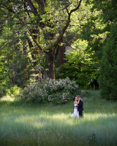 A couple in the middle of a meadow with a beam of sunlight lighting them at Yosemite