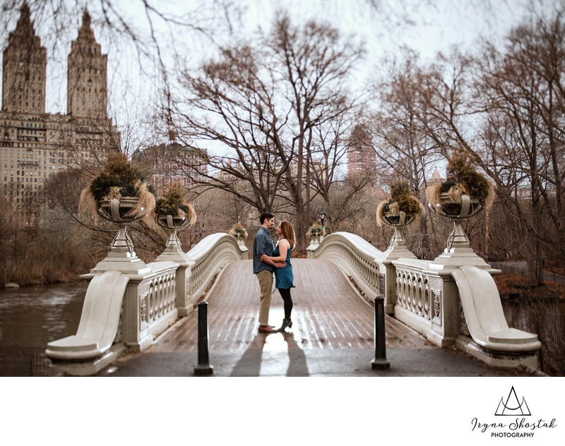 The Bow Bridge engagement portraits in Central park