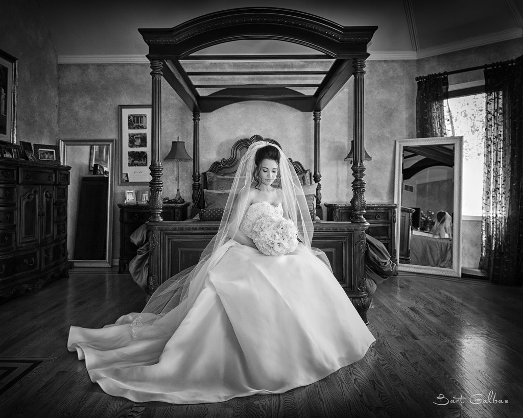 Top Wedding Photographers in Chicago