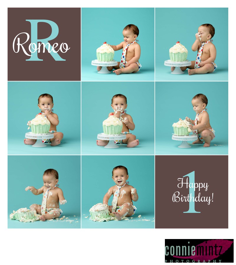 Cake Smash Cake Smash