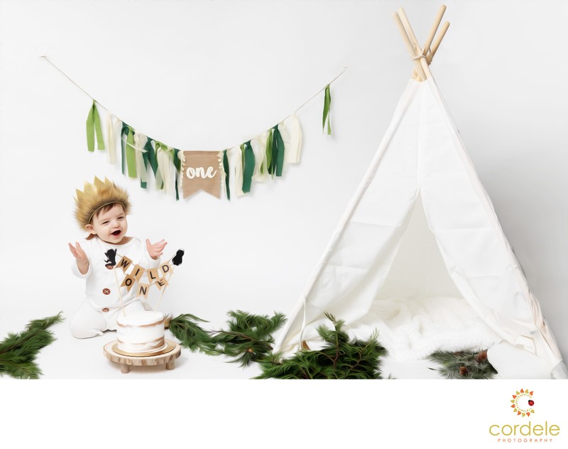 First Birthday Cake smash photos Lexington First Birthday Cake smash photos Lexington